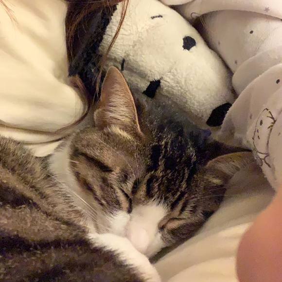 snoopychueh